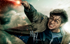 harry_potter harry_potter