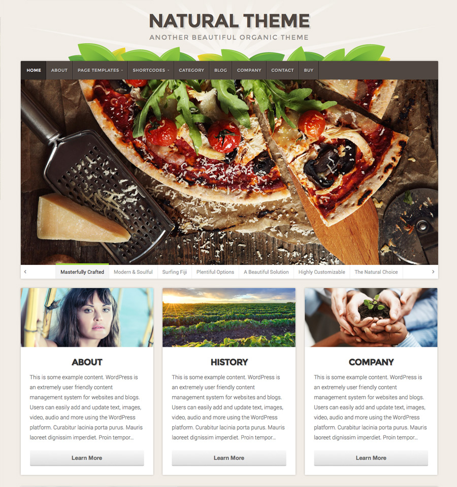 natural-wordpress-theme