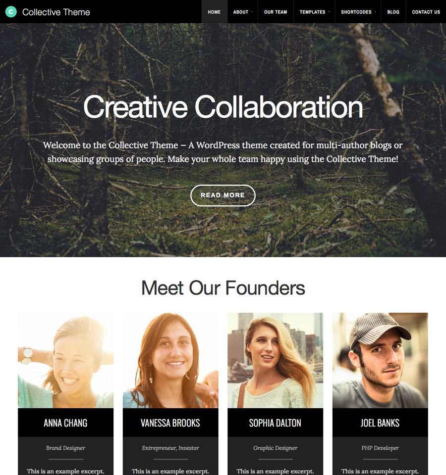 collective-wordpress-theme