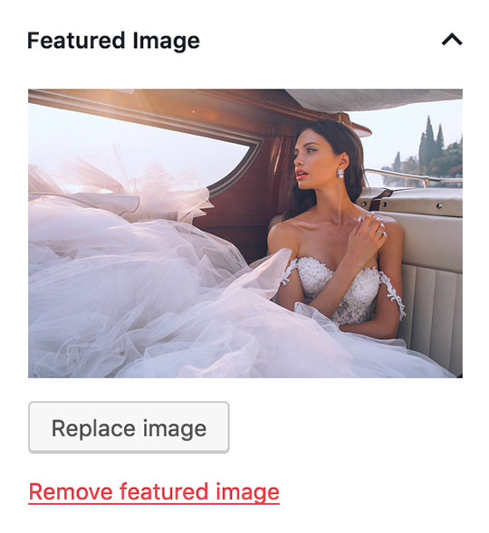 WordPress Featured Image Option