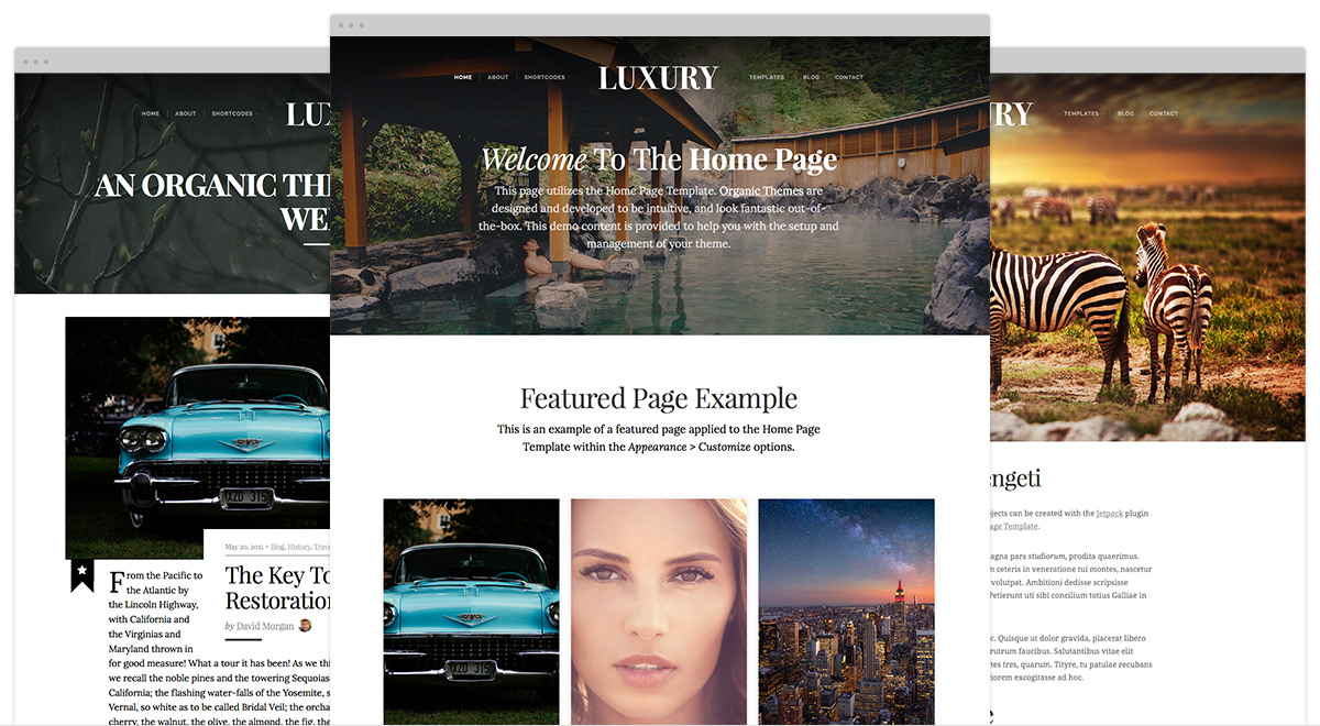 luxury-theme