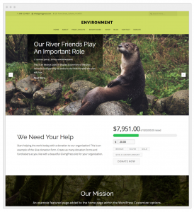 nonprofit-environment-website