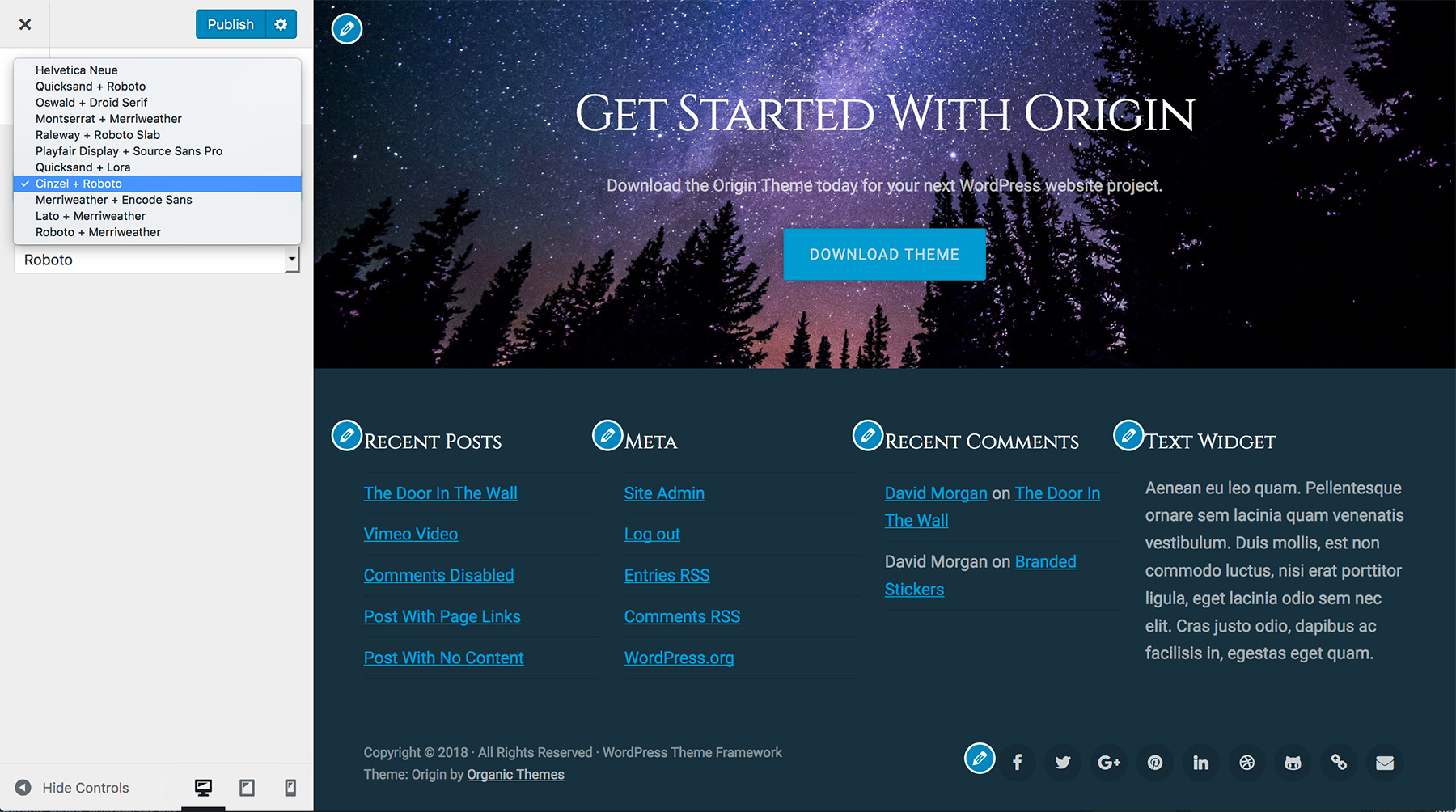 WordPress Starter Theme Font Options