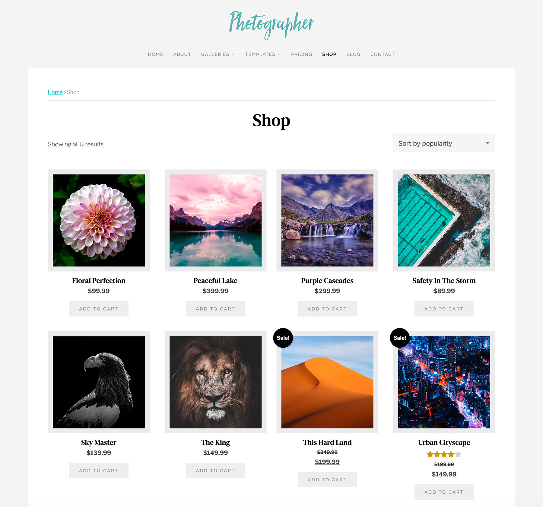 Photographer Theme Shop